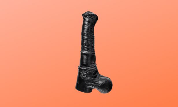 I Tried a Realistic Horse Dildo. Here's What It Was Like.