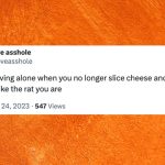 29 Relatable Tweets About Living Alone